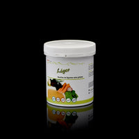 Léger Gemüsebouillon / Paste